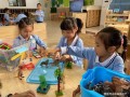 珠海幼儿园爆料事件最新,惊人内幕揭露幼儿教育乱象