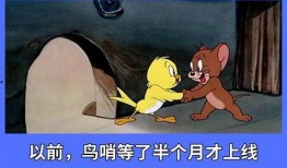 猫鼠最新第二武器爆料,神秘第二武器震撼登场，战局将如何改变？