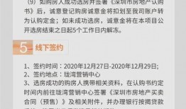 深圳网友石小姐最新爆料,深圳网友热议事件背后真相揭晓