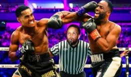 格林最新爆料新闻,最新爆料事件背后的惊人真相