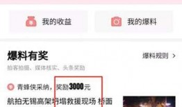 新乡头条最新爆料,重大事件背后真相揭秘！”