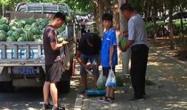 息县吃瓜群众爆料最新情况,吃瓜群众揭秘惊人内幕