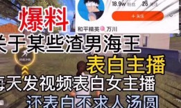 石家庄渣男爆料视频最新,揭秘渣男真面目，引发网友热议