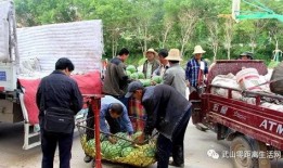 息县吃瓜群众爆料最新情况,吃瓜群众揭秘惊人内幕